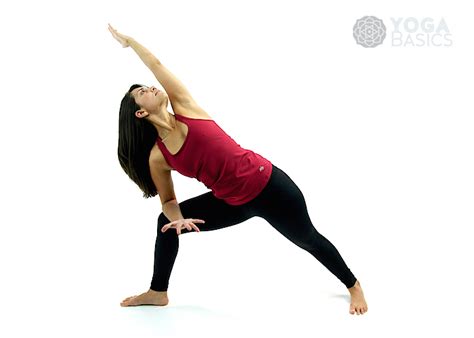 extended side angle pose yoga basics