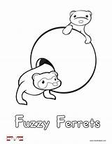 Coloring Ferret Pages Sugar Glider Ferrets Drawing Printable Alphabet Activities Kids Sweeper Getdrawings Getcolorings Colouring Sheets sketch template