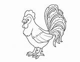 Rooster Coloring Farm Te Coloringcrew Book sketch template