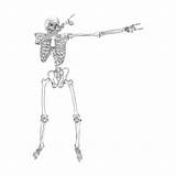 Dab Dance Vector Dabbing Clip Skeleton Human Illustrations Similar sketch template