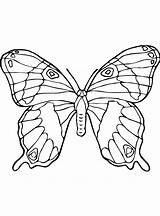 Schmetterlinge Malvorlage Vlinders Complicated Maak Persoonlijke Stimmen sketch template