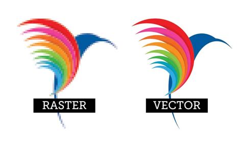 raster  vector images  important differences bpi color