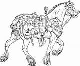 Warhorse sketch template