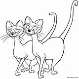 Tramp Siamese Cats Vagabundo Clochard Colouring Colorear Malvados Desenho ão Xcolorings Kaa Tudodesenhos Coloriages sketch template