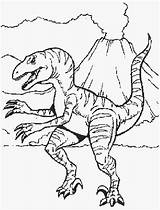 Dinosauri Disegni Dinosaur Dinosaurio sketch template