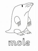 Mole Coloring Pages Animal Mice Another Print Name Gaddynippercrayons Its sketch template