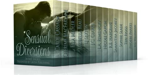Teatime And Books Sensual Diversions Box Set 14 Sexy