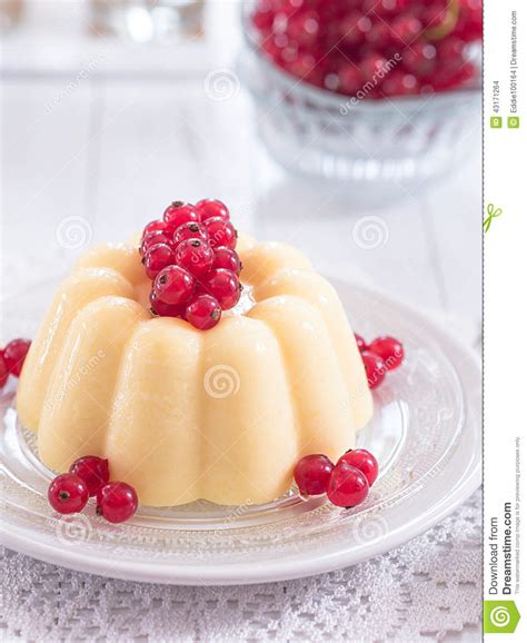 vanillepudding met rode aalbessen op een plaat stock foto image  pudding zoet