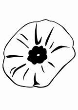 Poppy Coloring Pages Remembrance Flower Clipart Flowers Close Printable Color Popular Library Cut sketch template