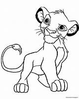 Roi Colorare Simba Leone Disegni Garde Animali Résultat Cartone Animato sketch template