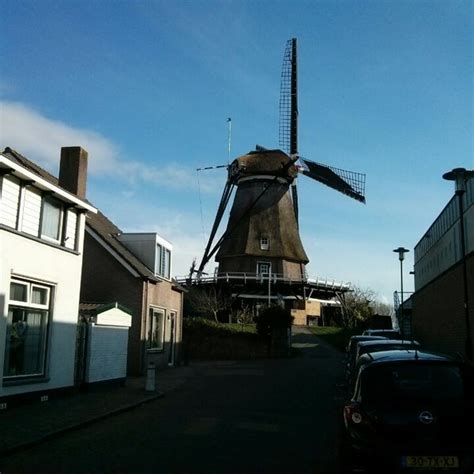 molen de valk montfoort utrecht