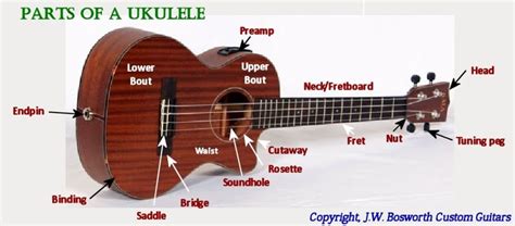 images  ukulele love  pinterest ukulele  songs  bill nye