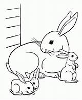 Rabbit Coloring Pages Bunny Printable Kids sketch template