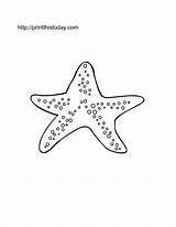 Starfish Printable Pages Coloring Ocean Animals Color Stencil Printthistoday Stencils Sea Mermaid Little Large Animal Cute Printablee sketch template