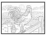 Rooster Coloring Single sketch template