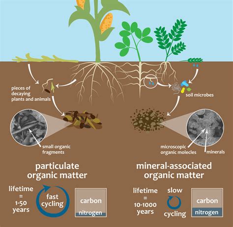 soil carbon   valuable resource   soil carbon   created equal natural resource