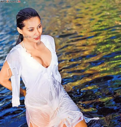 minissha lamba indian sexy model and hot bollywood actress hot and sexy big boobs hot thigh