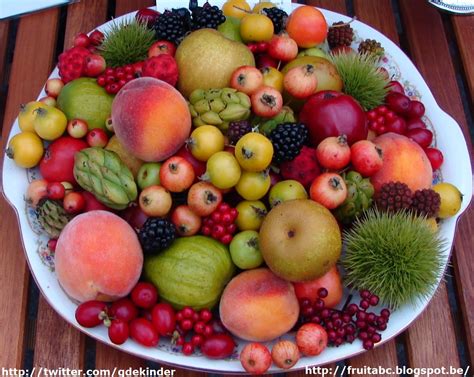 inheems en uitheems fruit fruit aan een haag