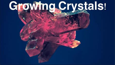 growing crystals youtube