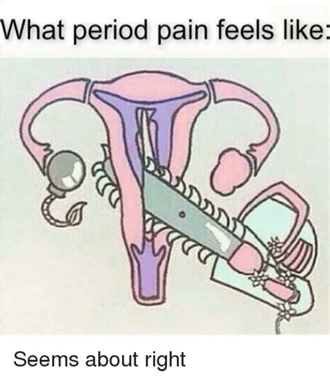 What Period Pain Feels Like Seems About Right Meme On Me Me