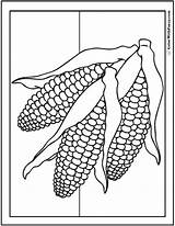 Corn Coloring Pages Thanksgiving Ear Cob Ears Fall Drawing Printable Color Colorwithfuzzy Three Template Print Stalk Pdf Getdrawings Husk Fun sketch template