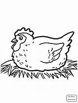 Chicken Outline Drawing Coloring Pages Kids Getdrawings sketch template