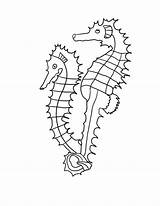 Seahorse Coloring Pages Printable Line Kids Outline Realistic Drawing Color Drawings Getdrawings Print sketch template