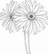 Susan Eyed Coloring Printable Pages Supercoloring Flower sketch template