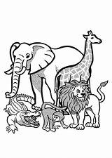 Wild Animals Coloring Pages Edupics sketch template