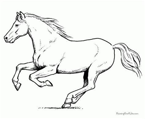 horse running drawing  getdrawings