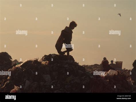 kinderarbeit auf muellkippe rio de janeiro brasilien stockfotografie alamy