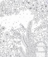 Secret Omalovánky Gardens Therapy Coloring Pages Garden Books Antistresové Adult Colouring sketch template
