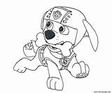 Patrol Paw Zuma Coloring Pages Awesome Getcolorings Color sketch template