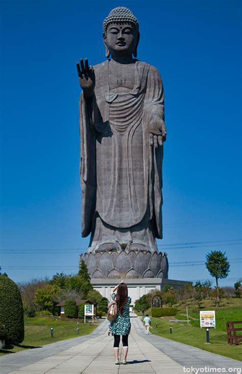 ushiku daibutsu big buddha tokyo times