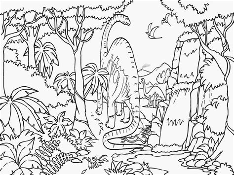 printable rainforest coloring pages  getcoloringscom