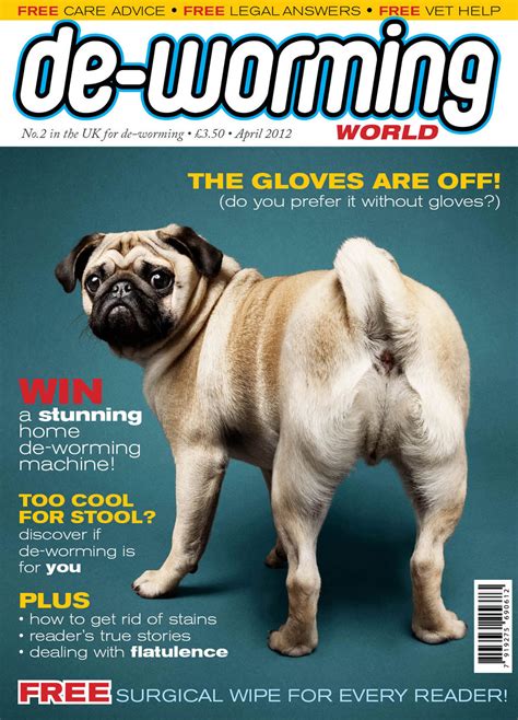 5 hilarious fake magazine covers work as terrific decoys adweek