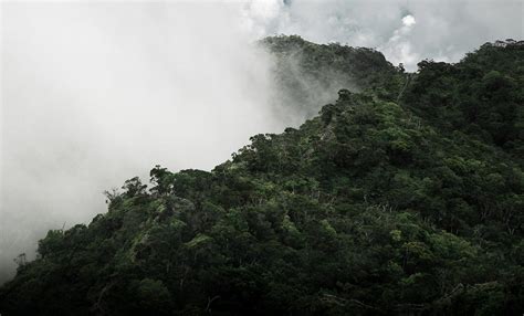 peruvian rainforest weather peru explorer peru explorer