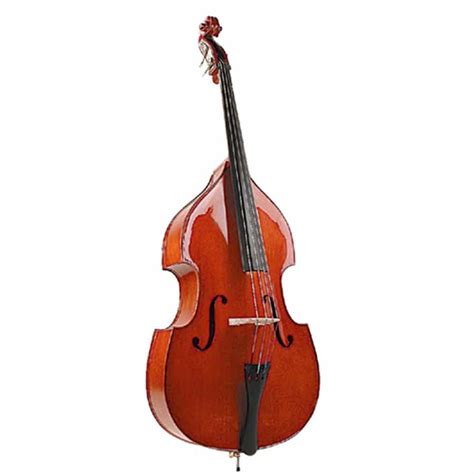 Upright Acoustic Double Bass Solid Top 3 4 Size Dm