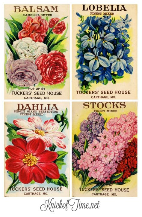 seed packet printables shop talk knick  time