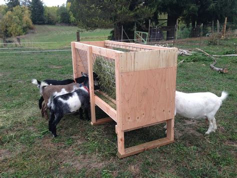 homemade goat feeders  sale   banks  salt creek