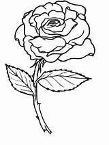 Coloring Rose Pages Roses Flower Color Sheets sketch template