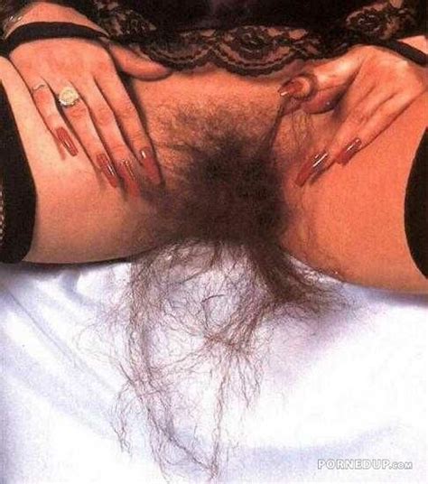 Pussy Beards Literotica Discussion Board