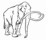 Mammoth Coloring Clipart Pages Wooly Woolly Sheet Drawings Printable Line Drawing Supercoloring Mammoths Animals Prehistoric Color sketch template