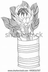 Protea Adult sketch template