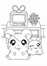 Coloring Pages Hamtaro Room Living Kids Cute Pashmina Penelope Color Picgifs Drawing Printable sketch template