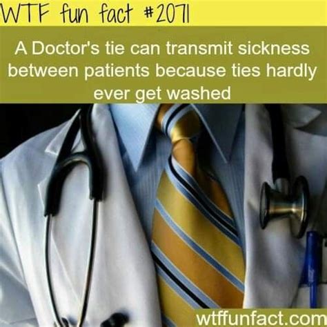 Pin By Erica Ennis On Wtf Fun Facts Weird Facts Wtf Fun