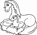 Fohlen Ausmalbilder Zum Pferde Ausdrucken Mit Malvorlagen Ausmalen Und Kostenlos Kinder Malen Mandala Für Von Tiere Kind Drucken Horse Coloring sketch template