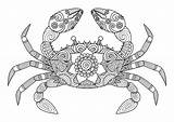 Zentangle Octopus Granchio Adulto Disegnato Drawn Fumetto Svegli Pesci Justcolorr выбрать доску sketch template