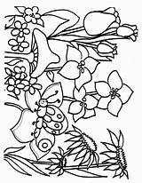 Spring Coloring Pages Flower Sheets Flowers Printable sketch template