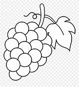 Coloring Grapes Clipart Clker Pinclipart sketch template